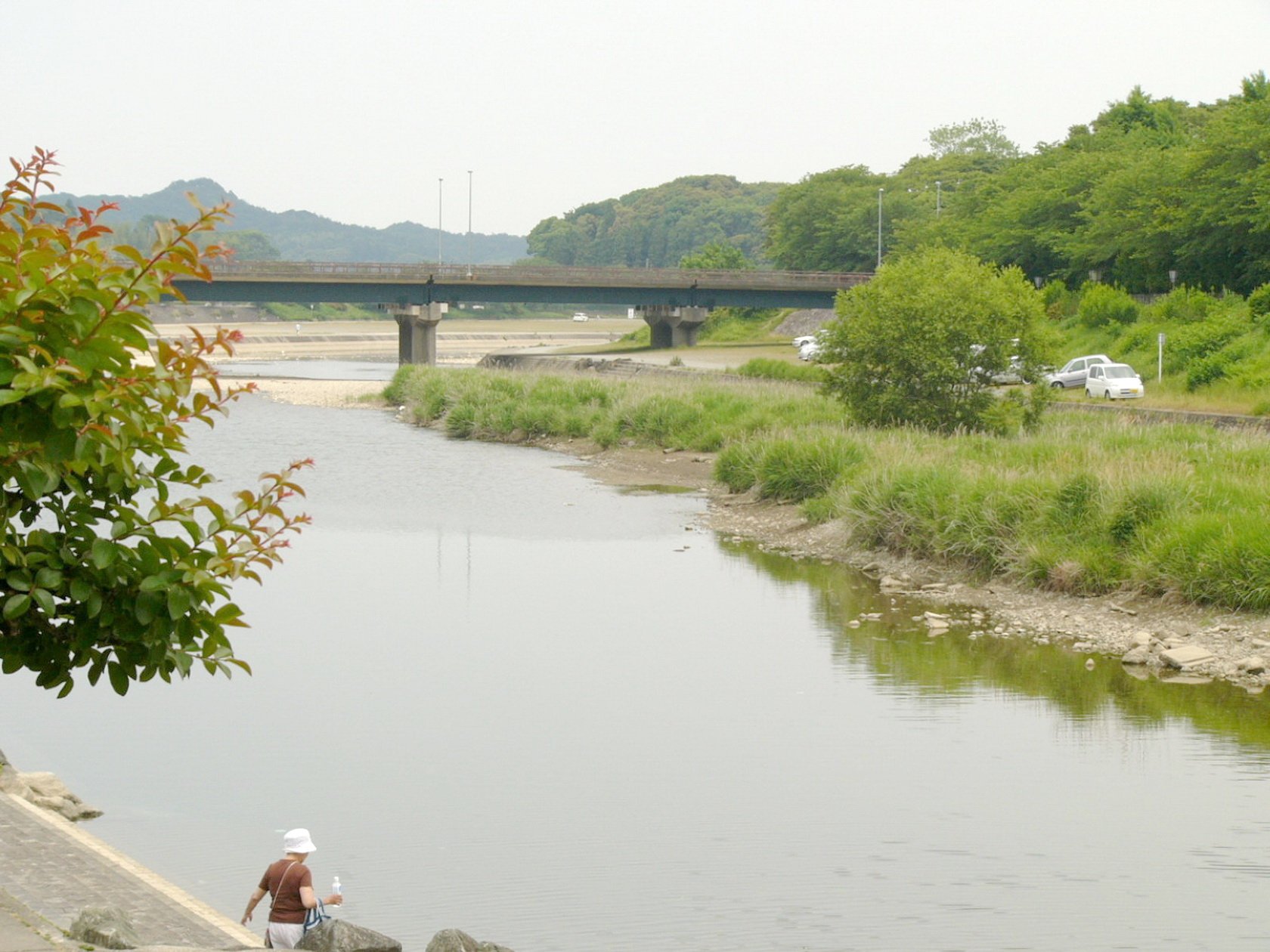 img0005.jpg