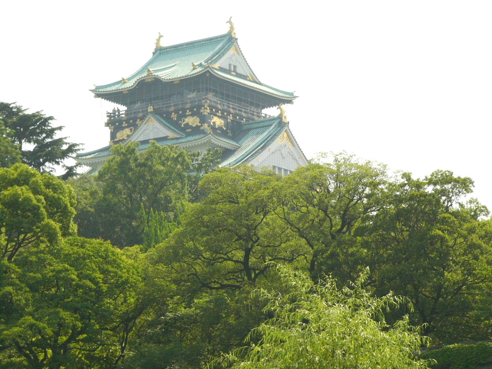 img0003.jpg