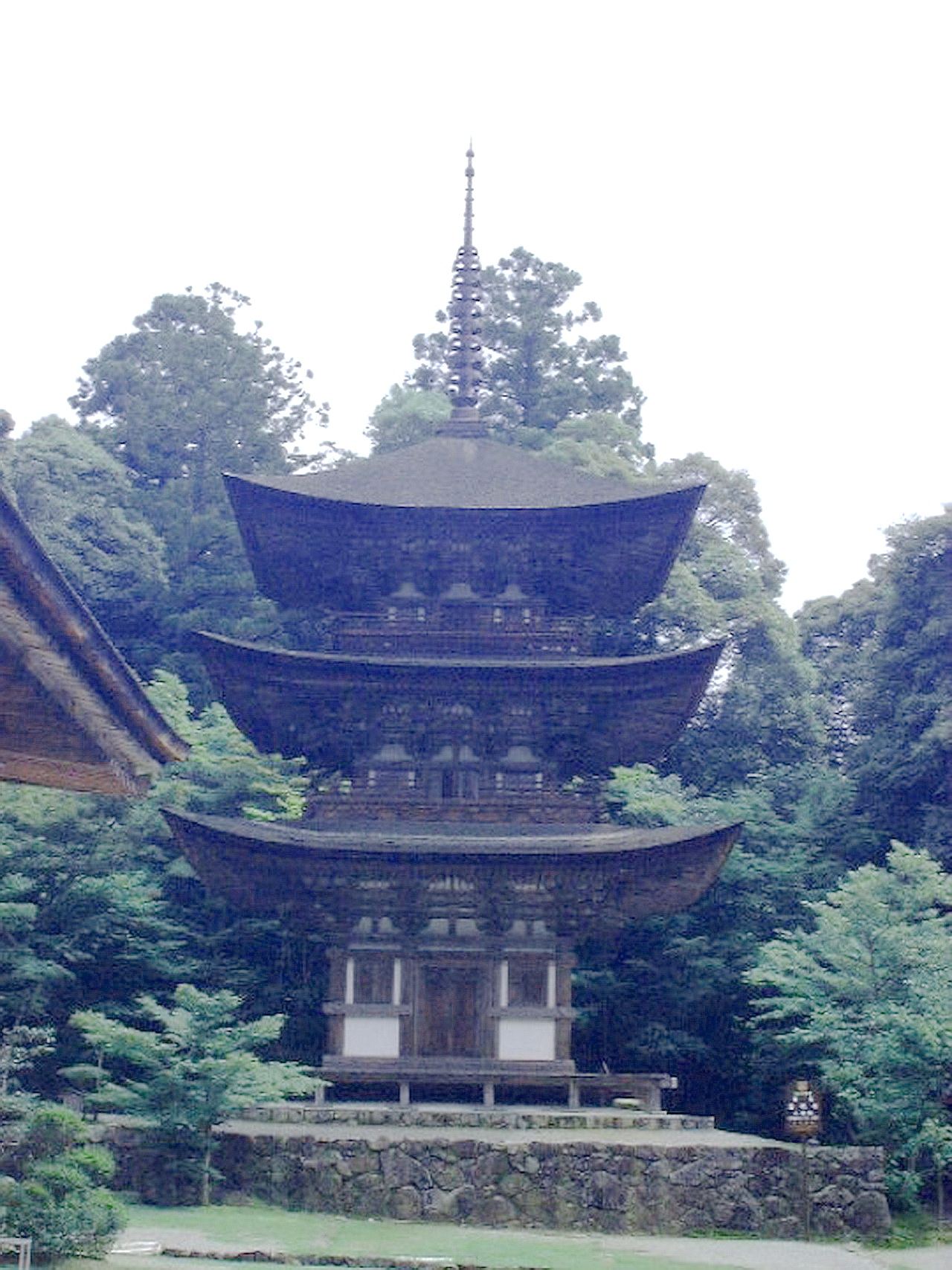 img0021.jpg