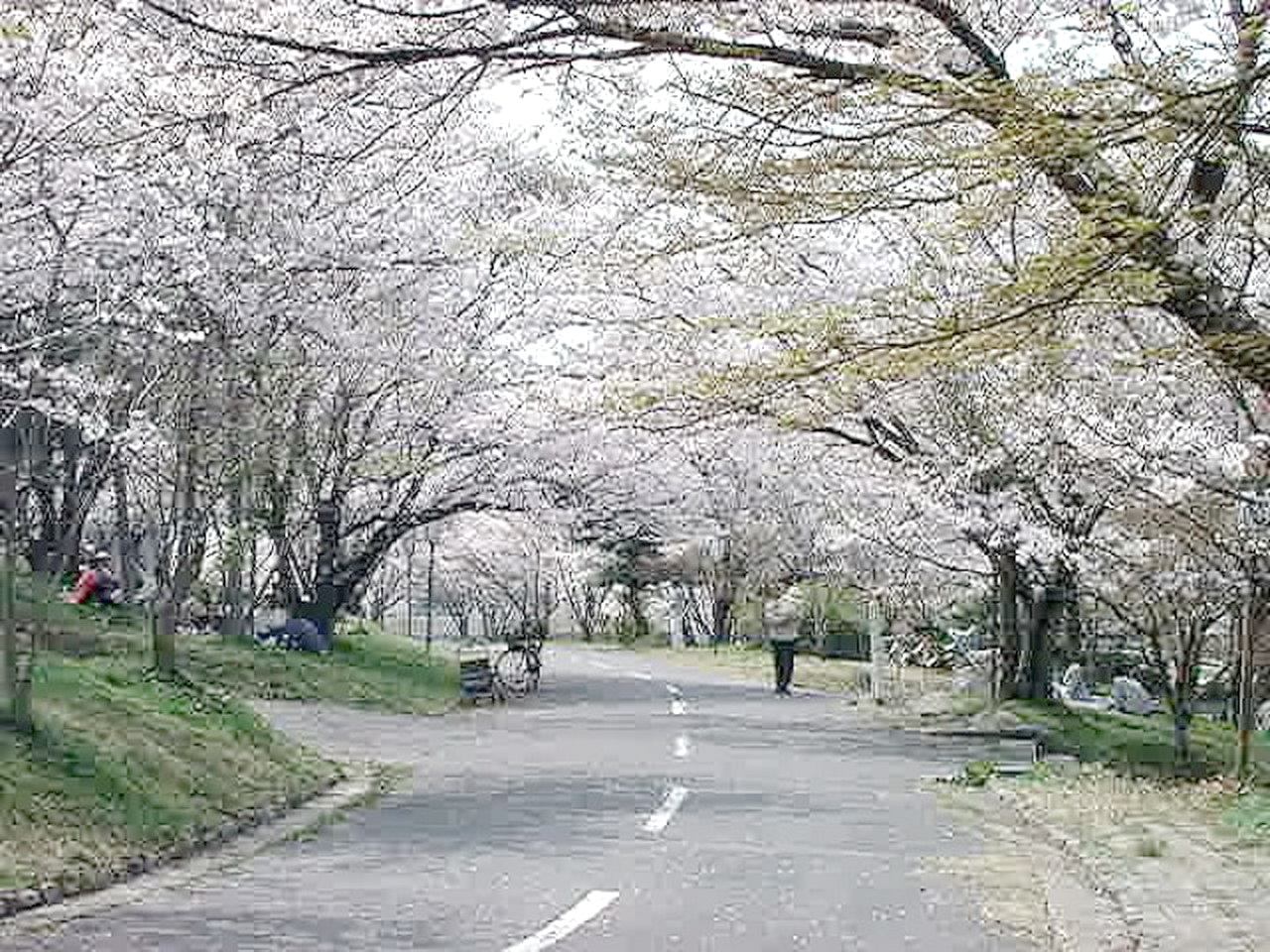 img0025.jpg