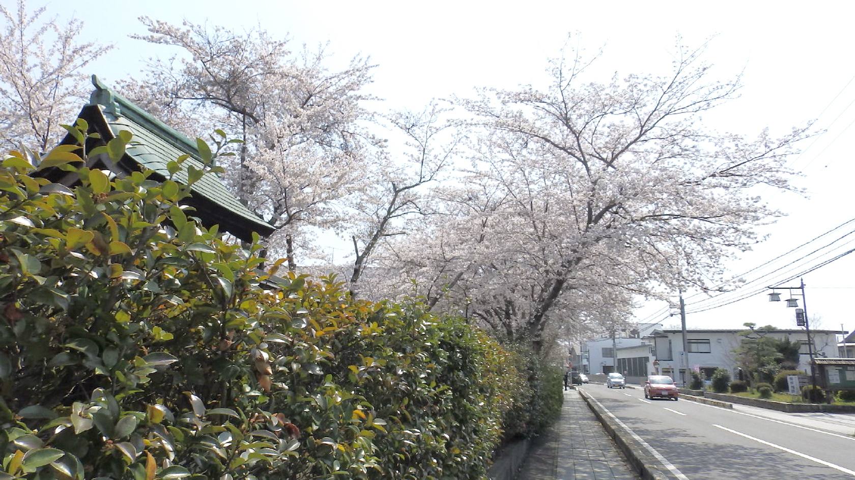 img0015.jpg
