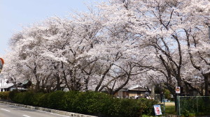 img0000.jpg