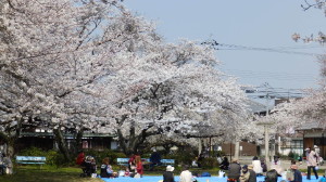 img0002.jpg