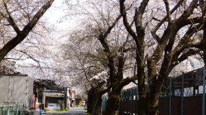img0004.jpg