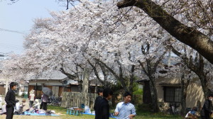 img0005.jpg