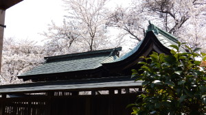 img0007.jpg