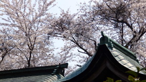 img0008.jpg
