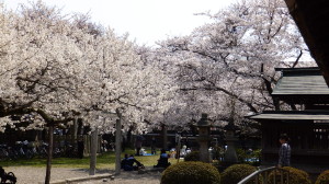 img0010.jpg
