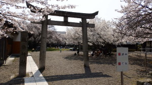 img0011.jpg