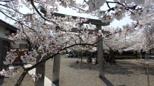 img0013.jpg