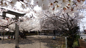 img0014.jpg