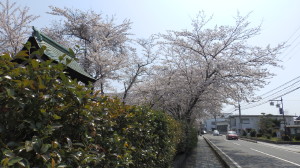 img0015.jpg