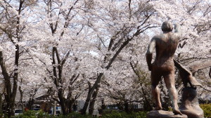 img0016.jpg