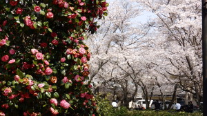 img0018.jpg