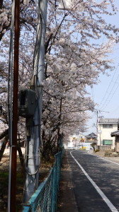 img0007.jpg
