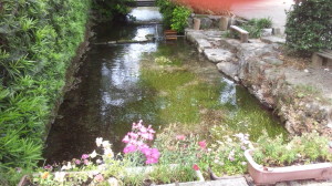 img0003.jpg