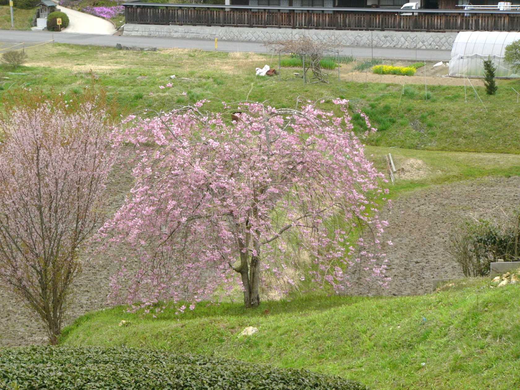 img0028.jpg