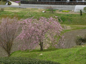 img0028.jpg