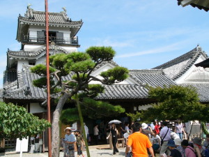 img0023.jpg