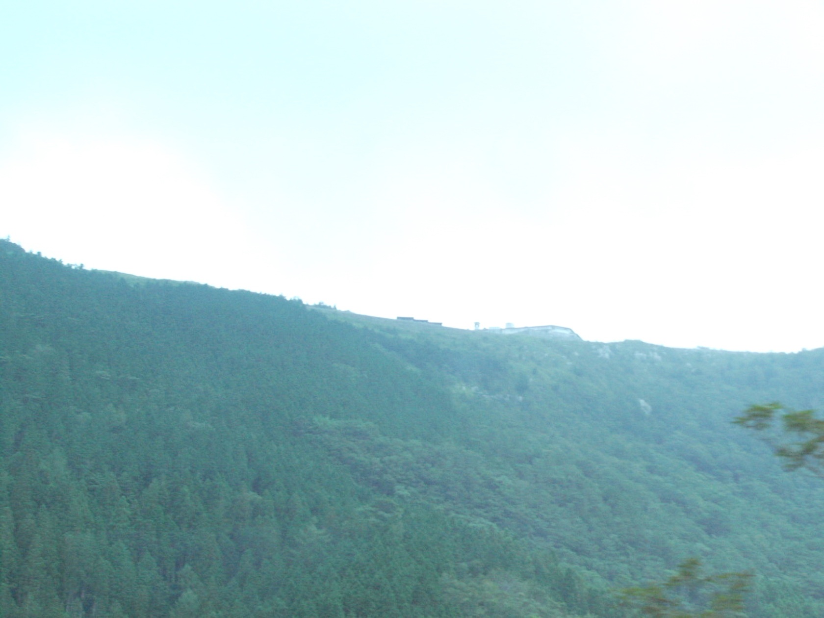 img0003.jpg