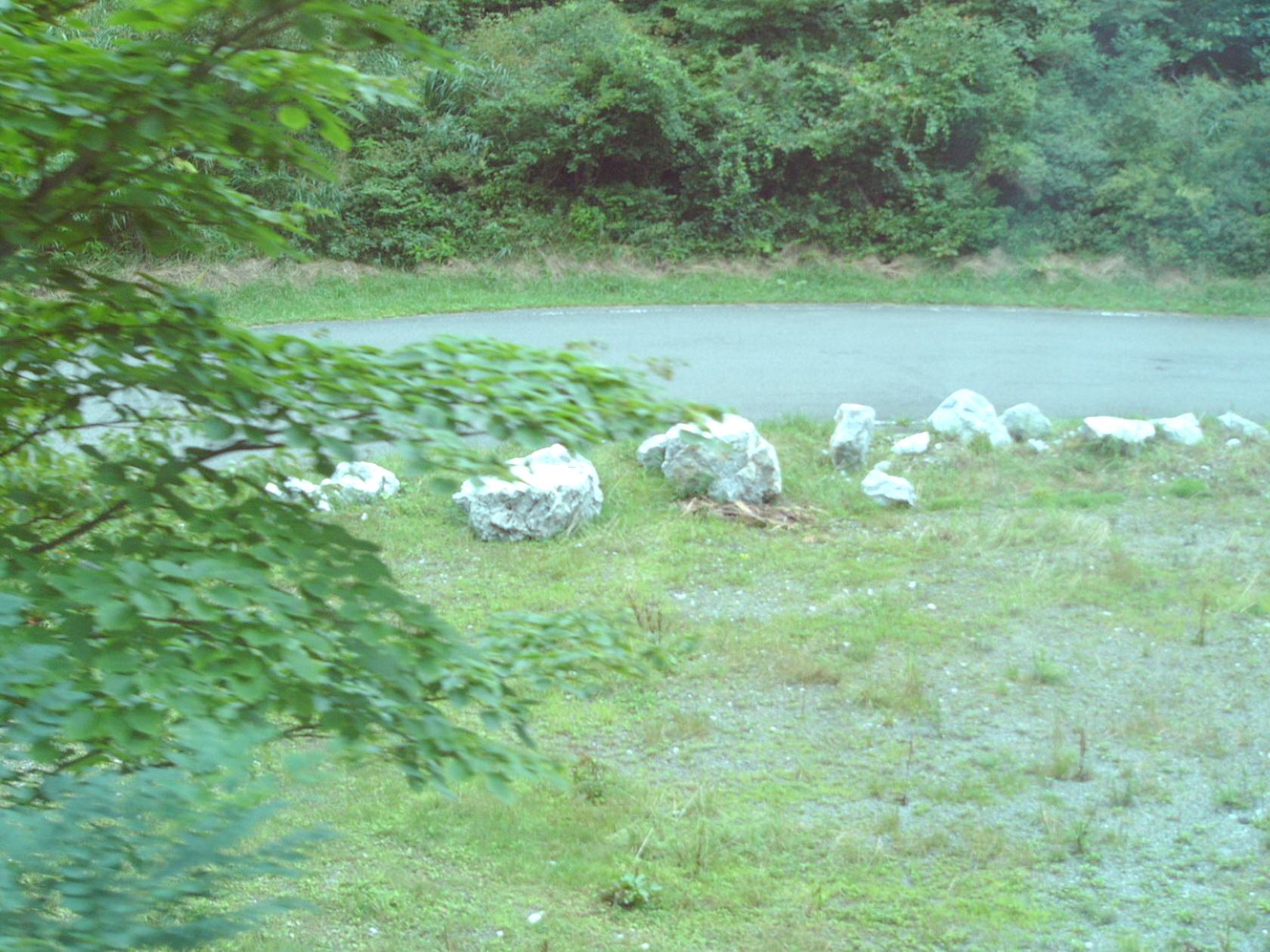 img0005.jpg