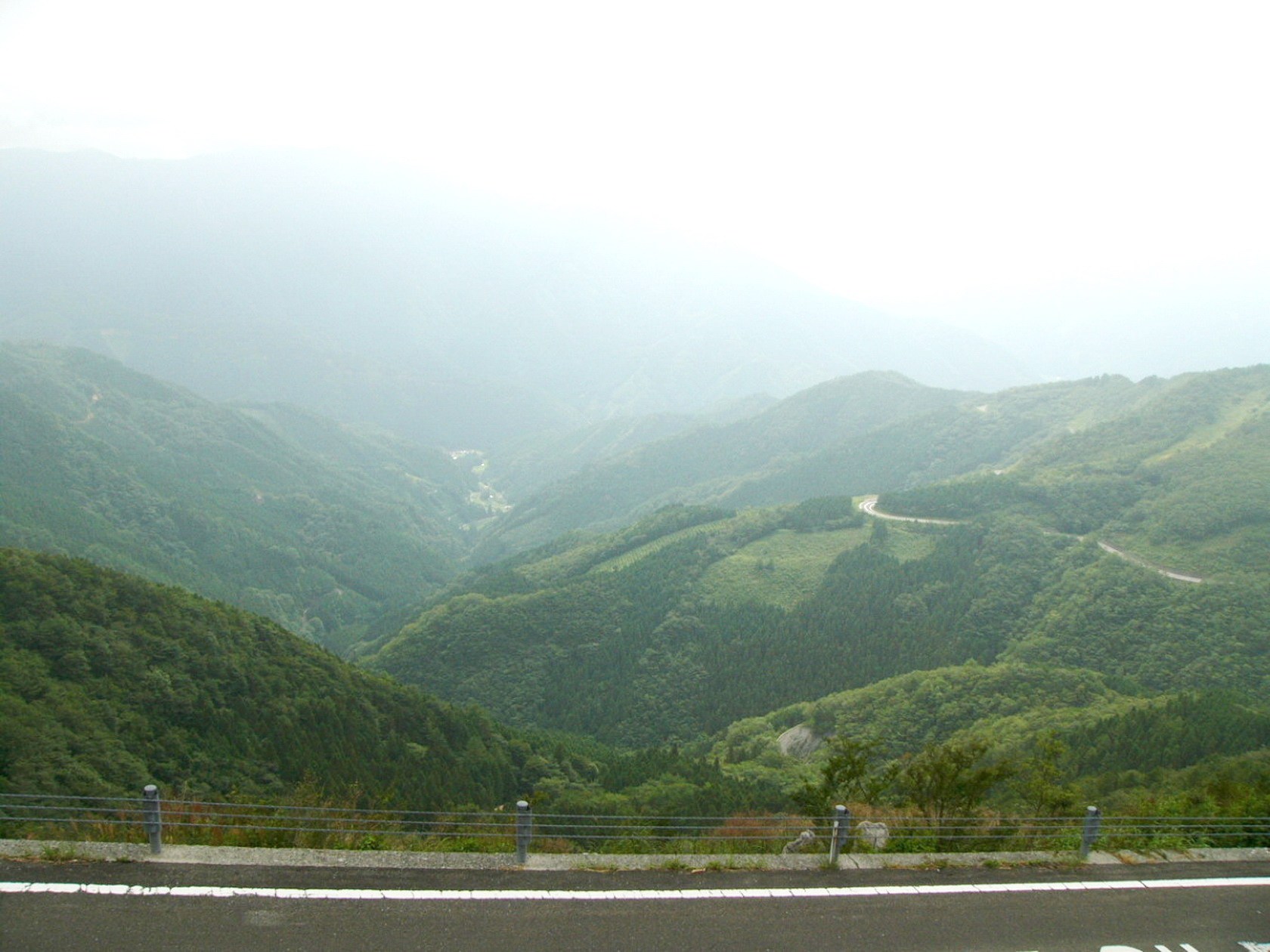 img0011.jpg