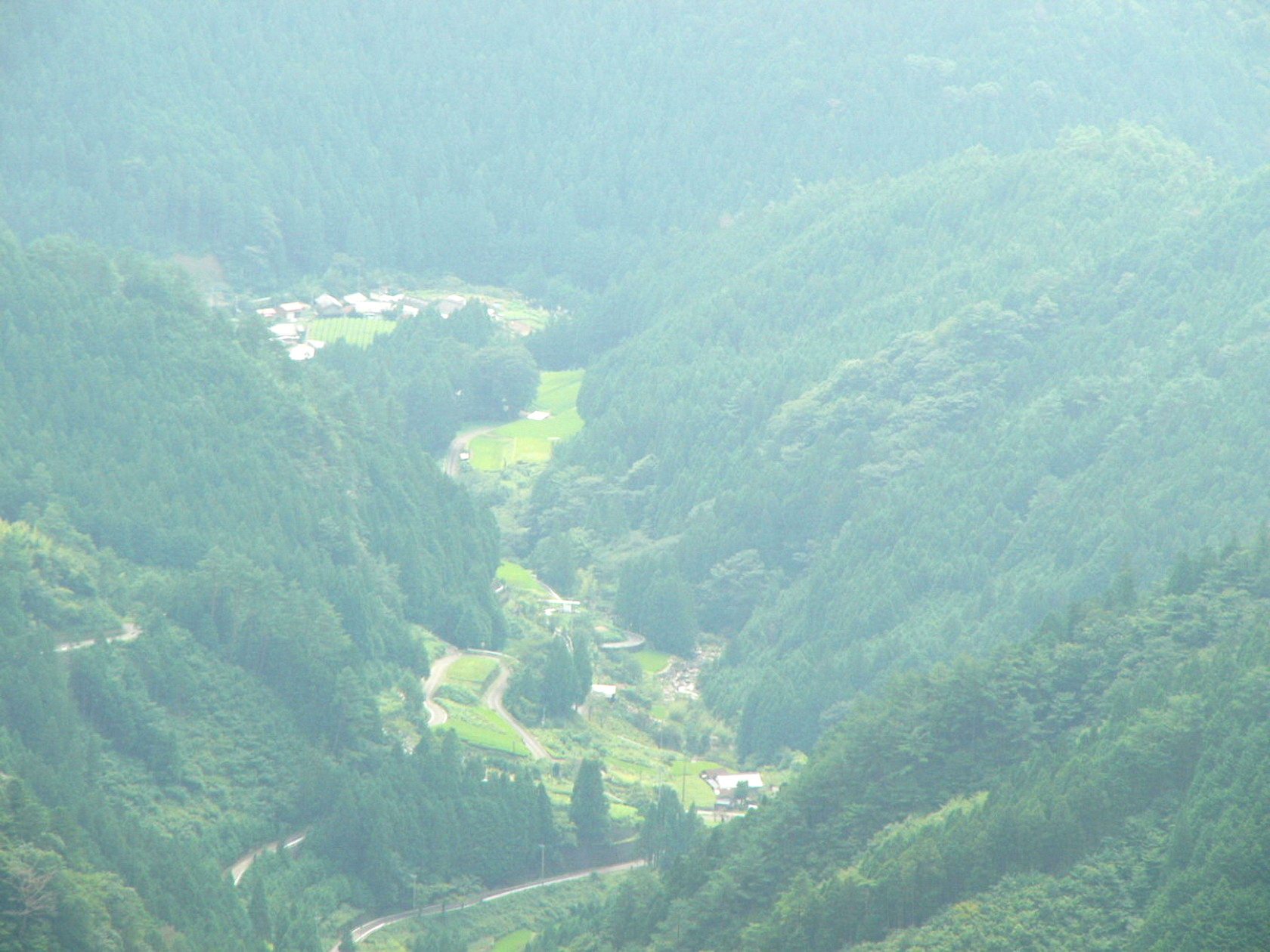 img0012.jpg