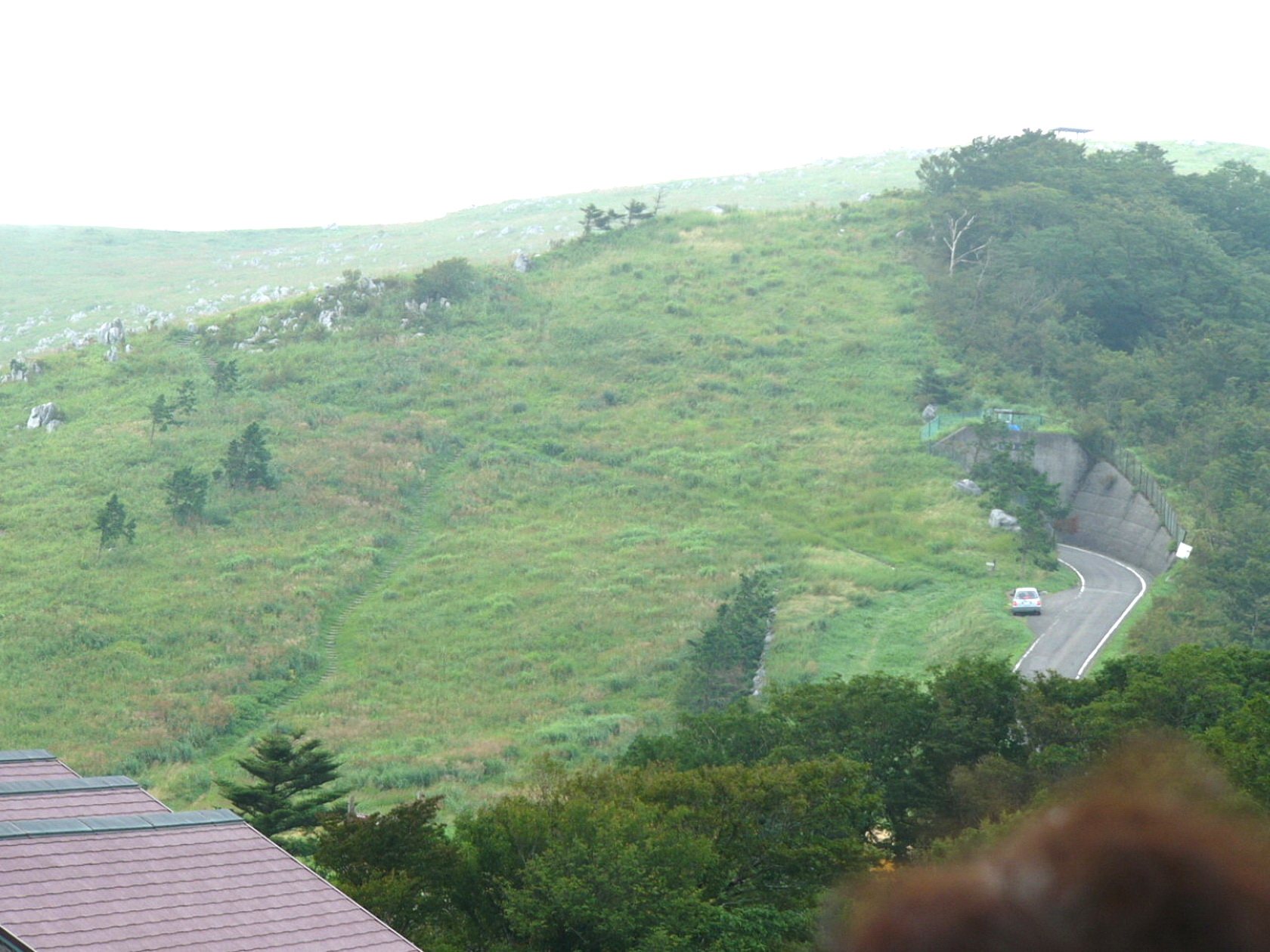img0013.jpg