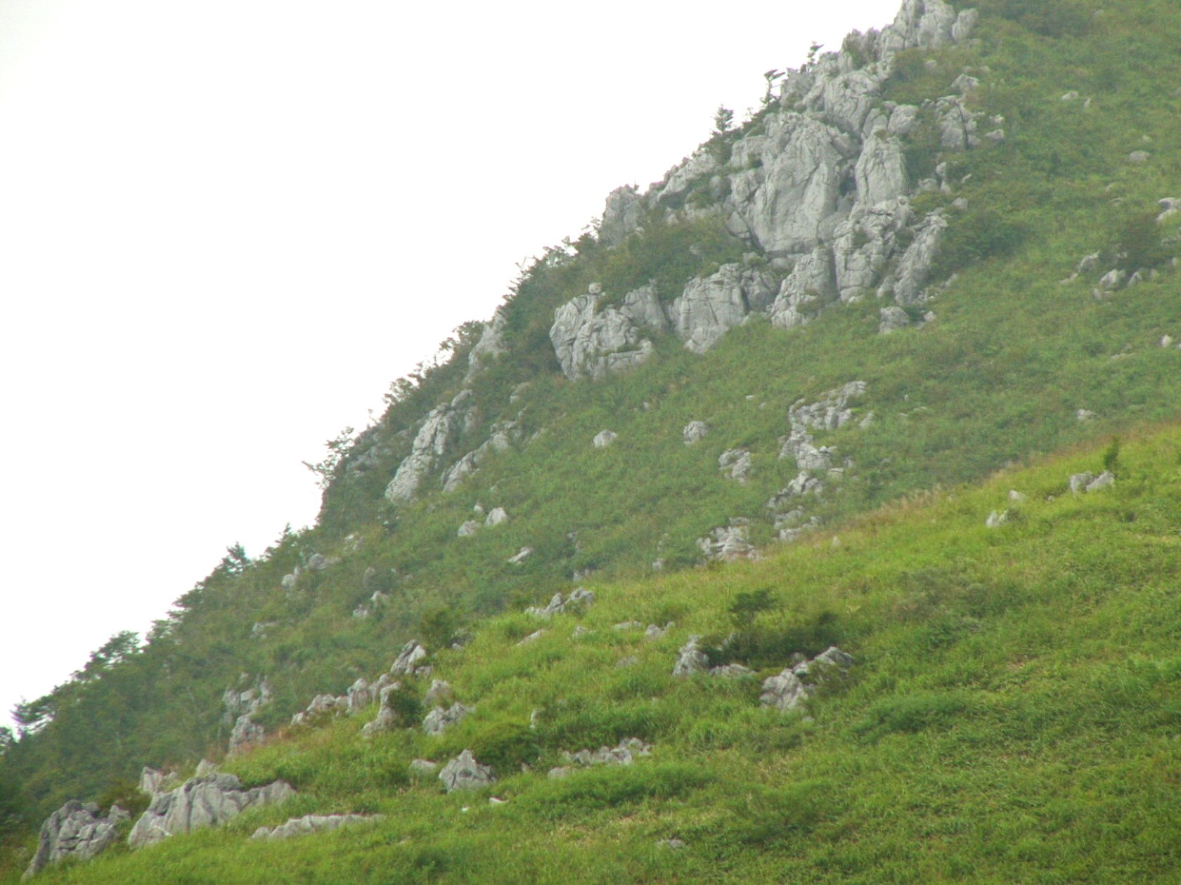img0017.jpg