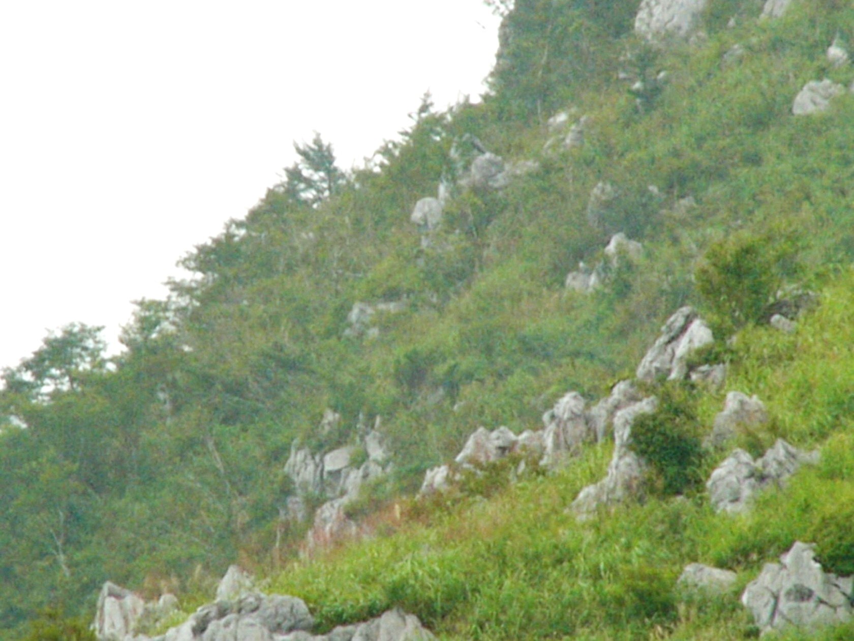 img0018.jpg