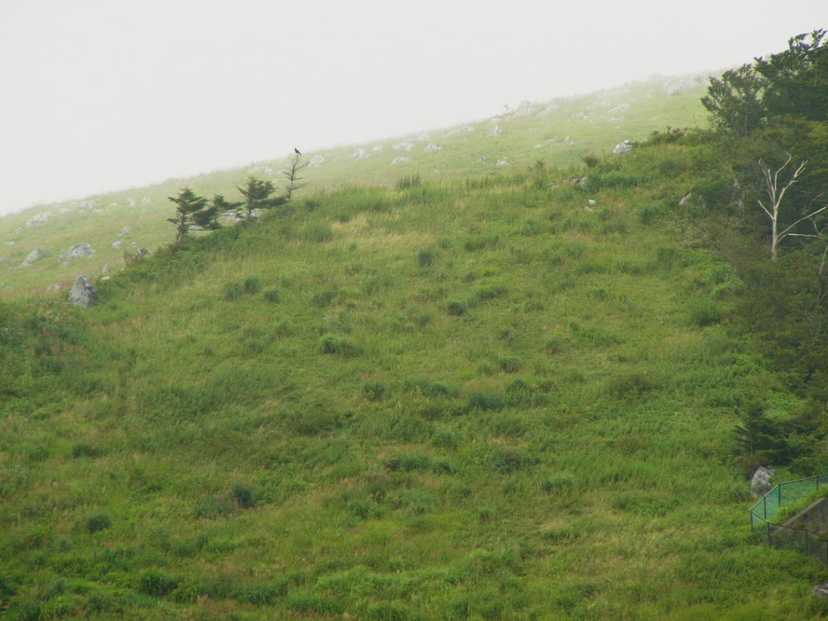 img0019.jpg