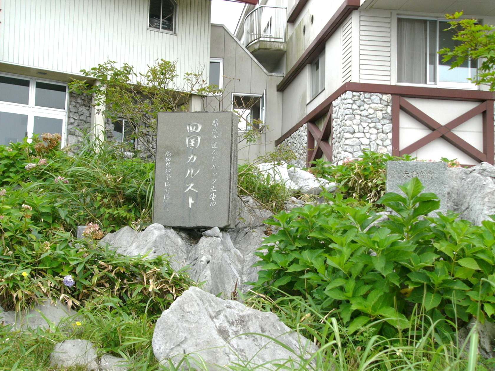 img0020.jpg
