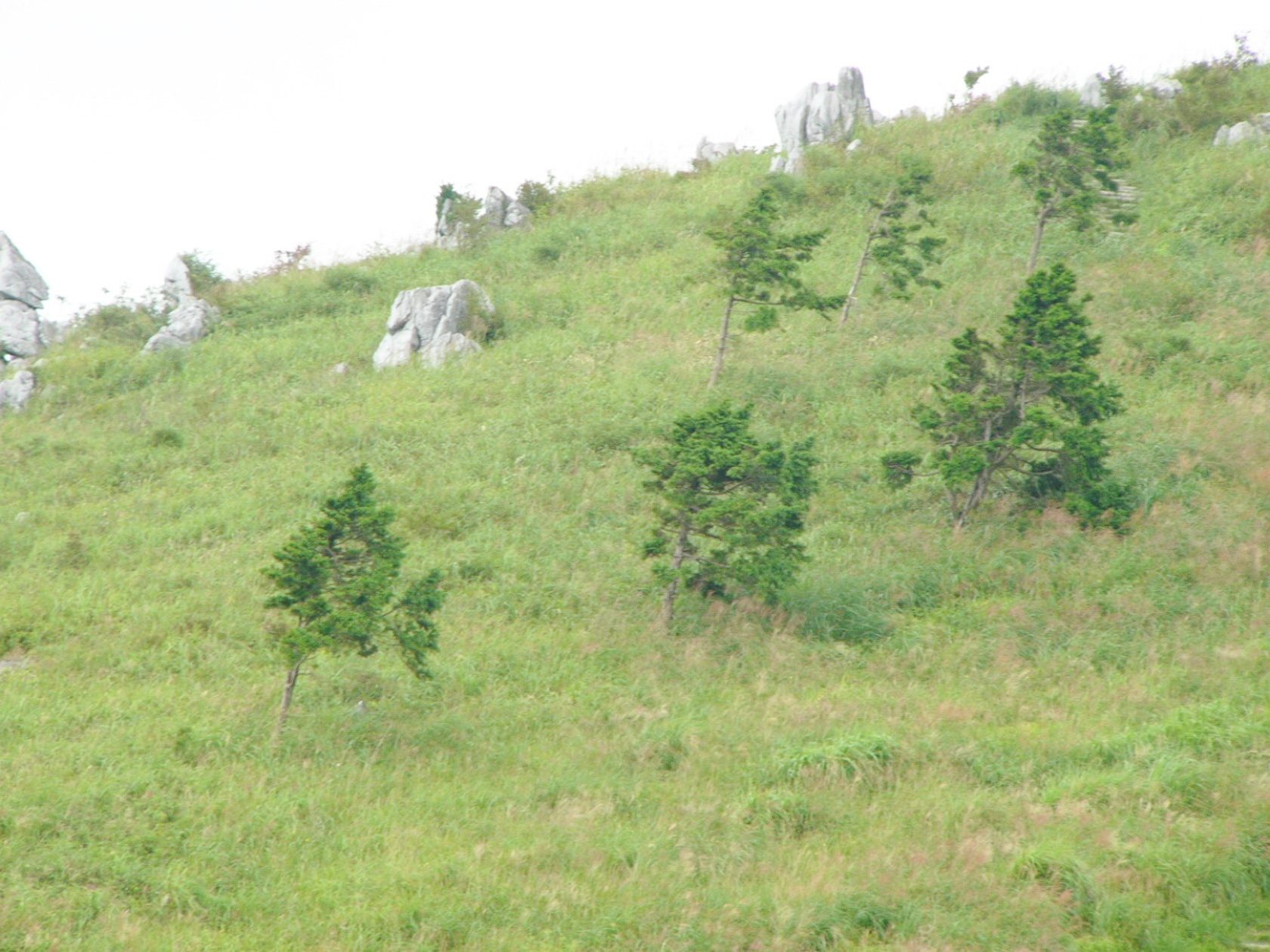 img0025.jpg