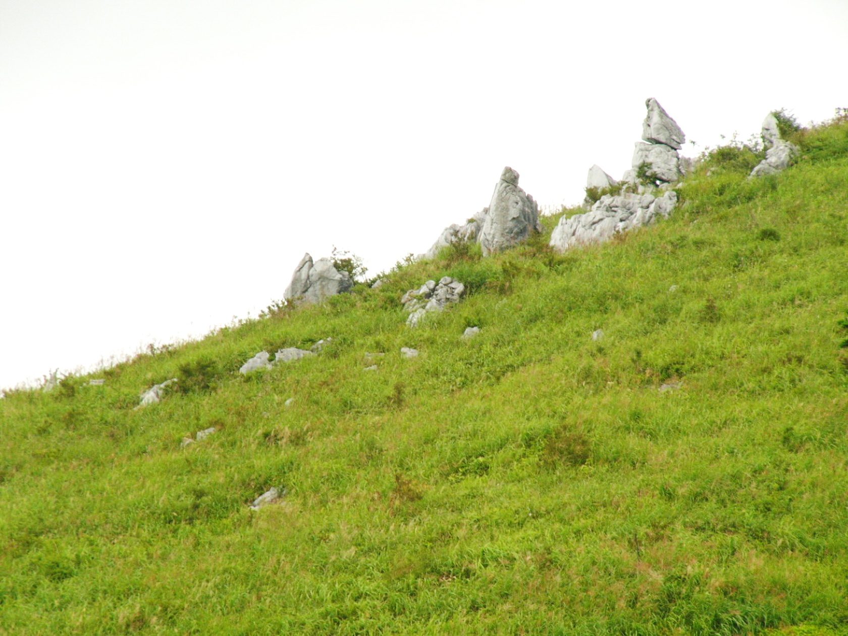 img0026.jpg