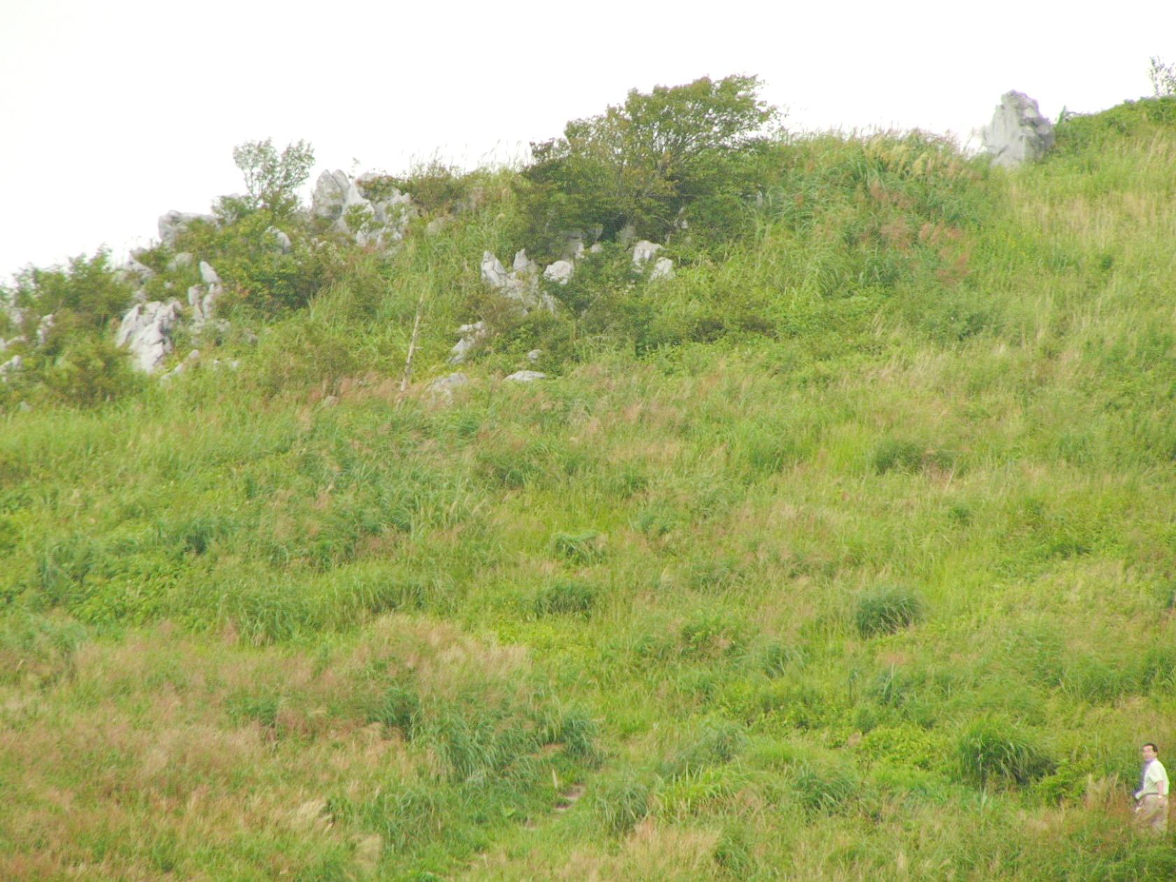 img0027.jpg
