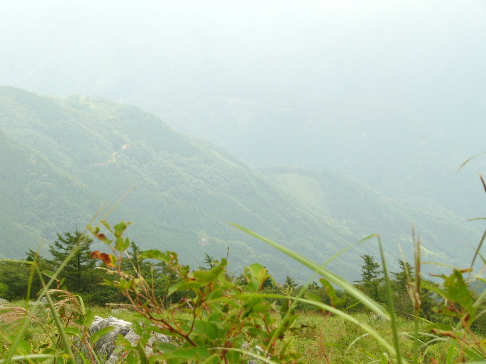 img0032.jpg