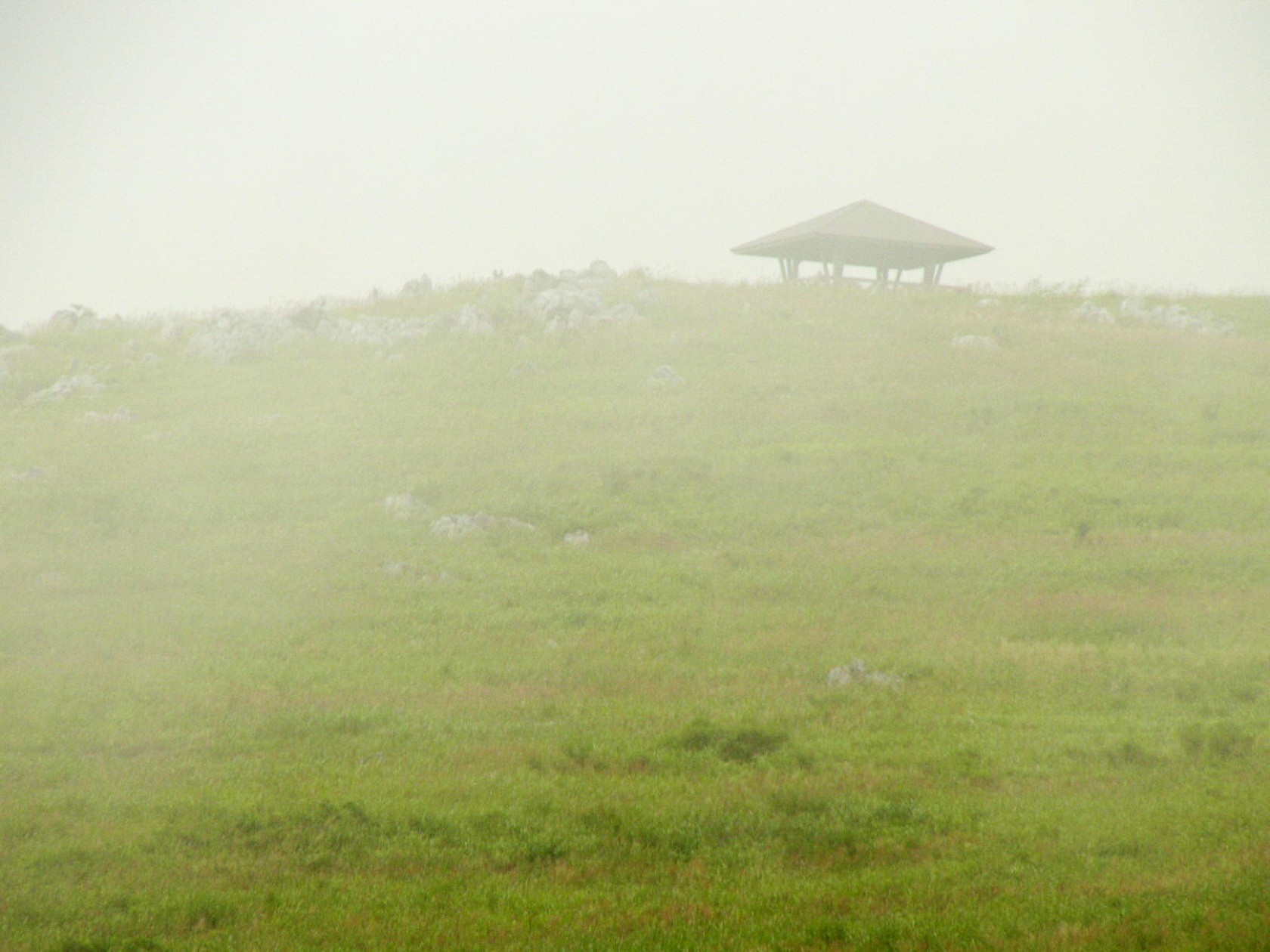 img0034.jpg
