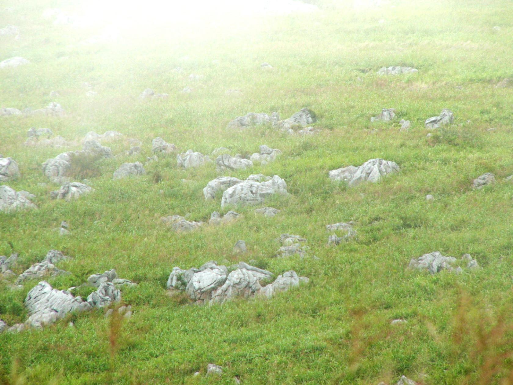 img0035.jpg