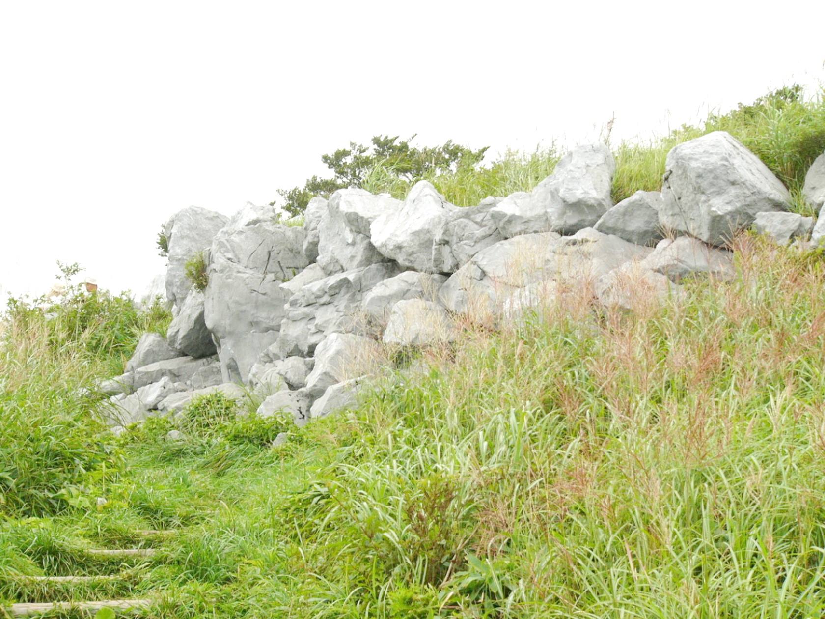 img0036.jpg