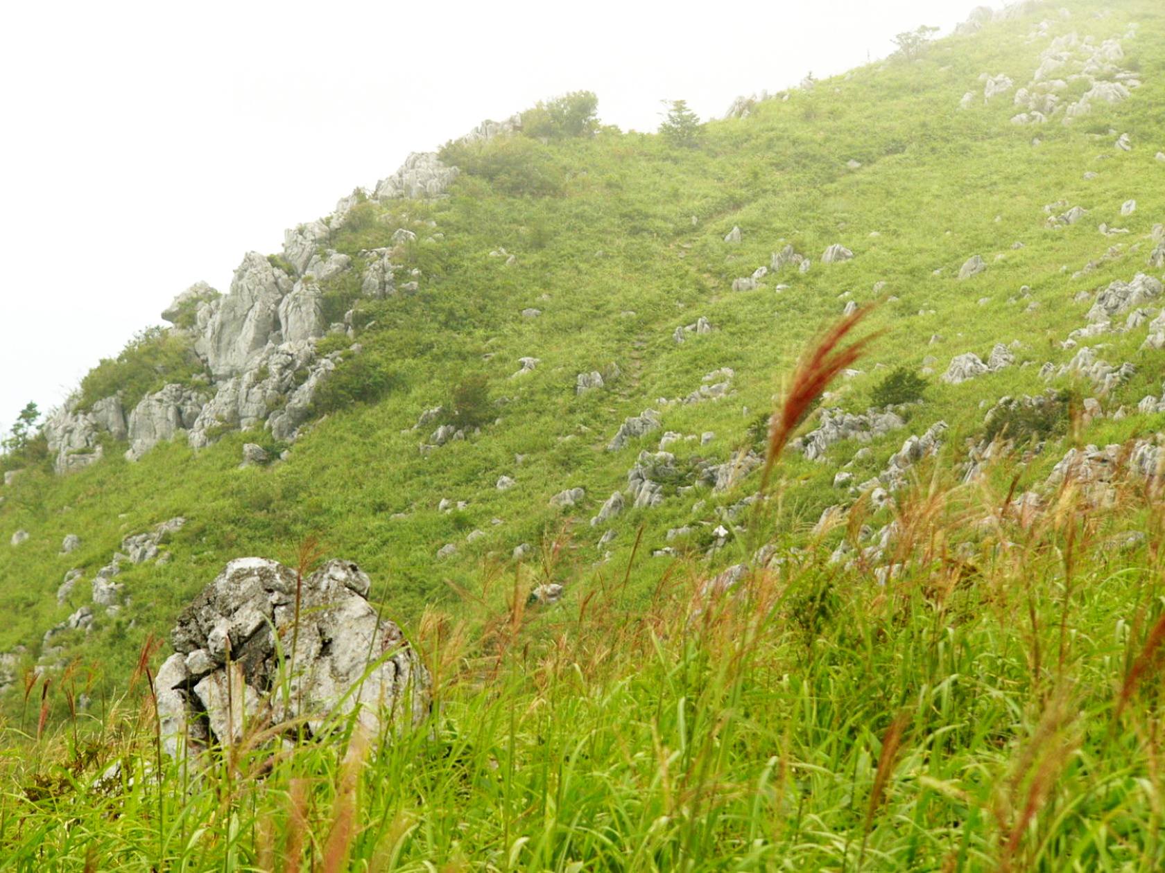img0037.jpg