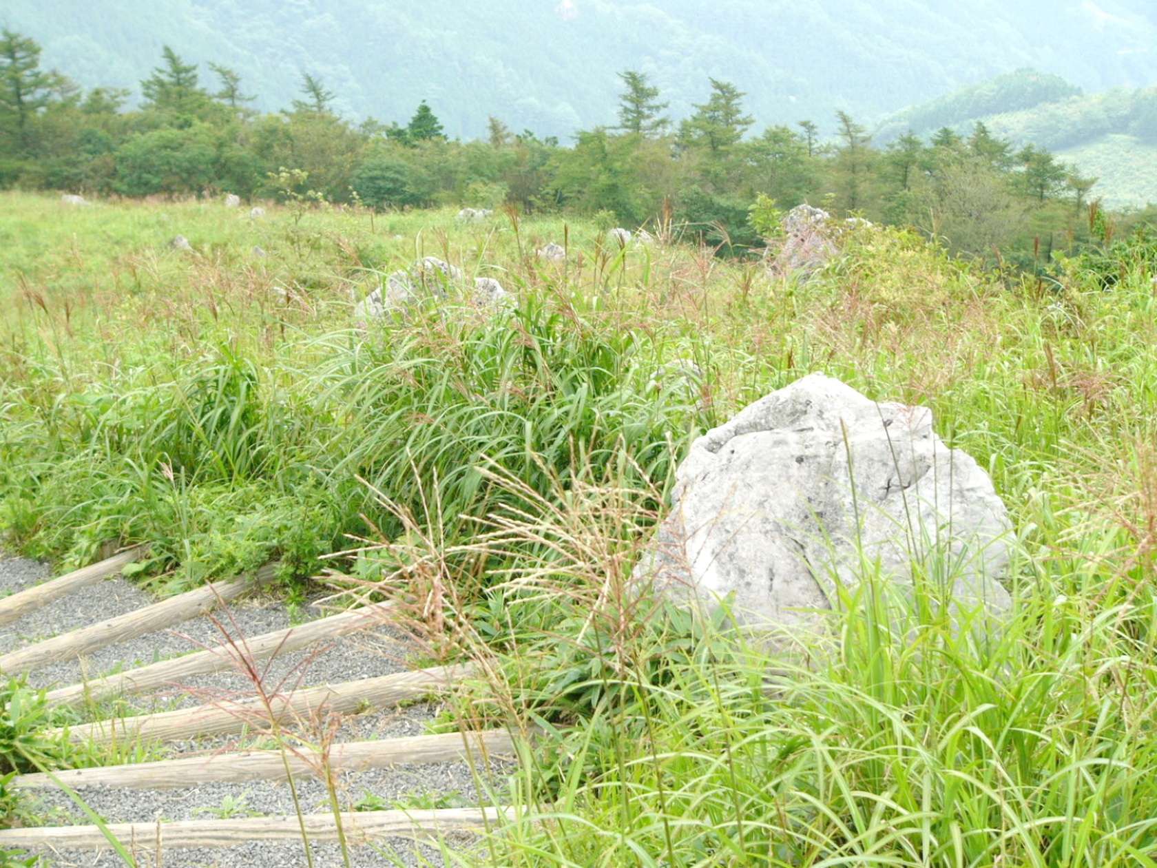 img0039.jpg