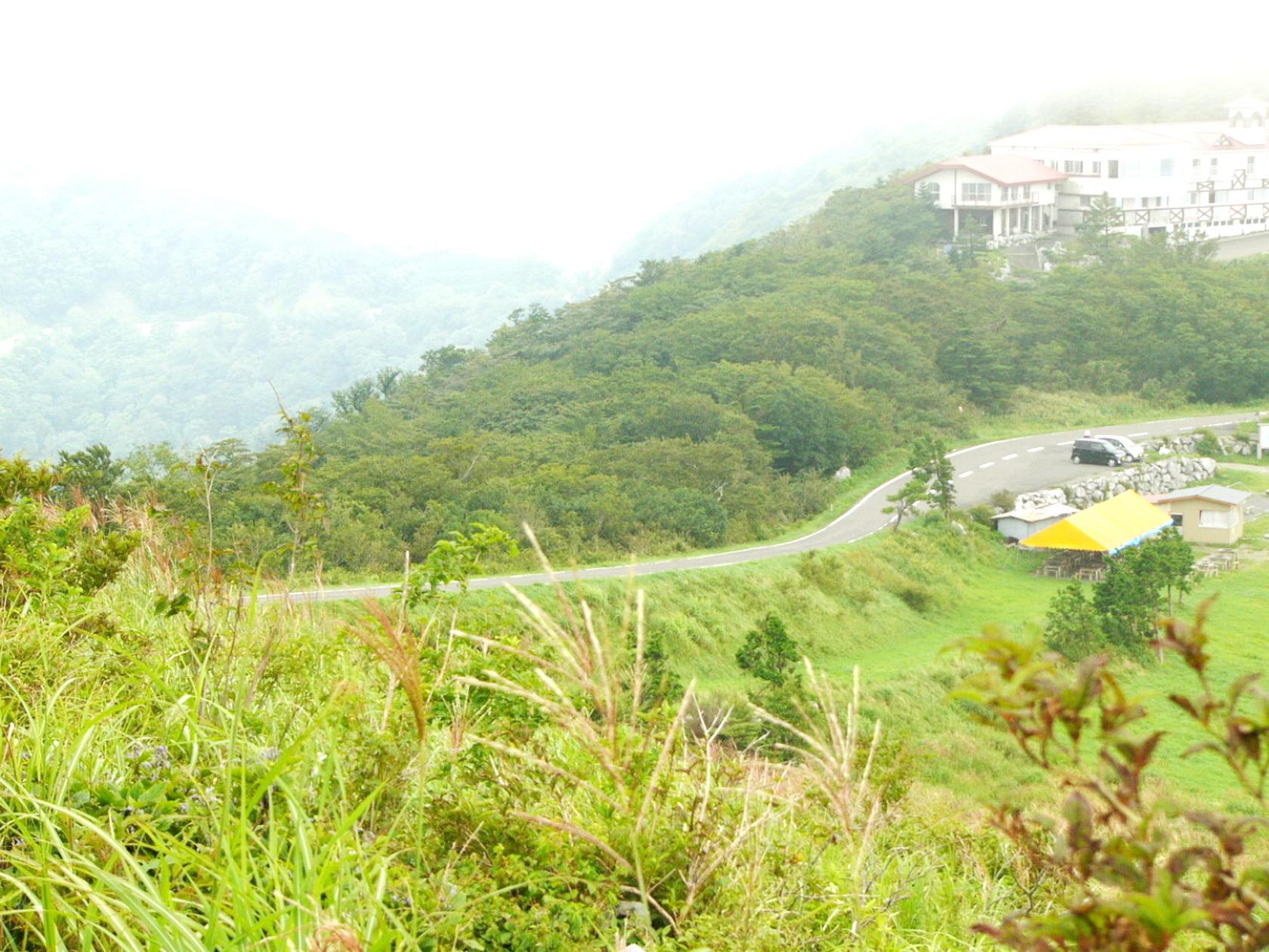 img0042.jpg