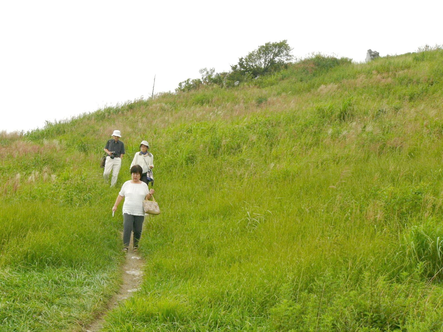 img0044.jpg