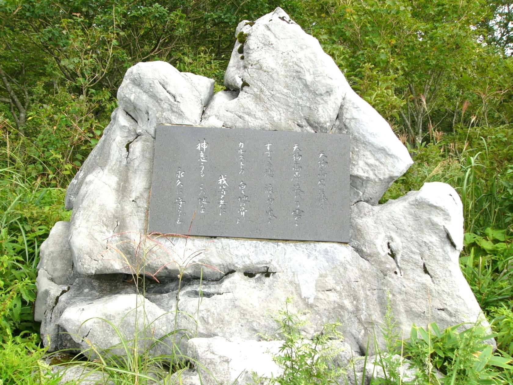 img0046.jpg