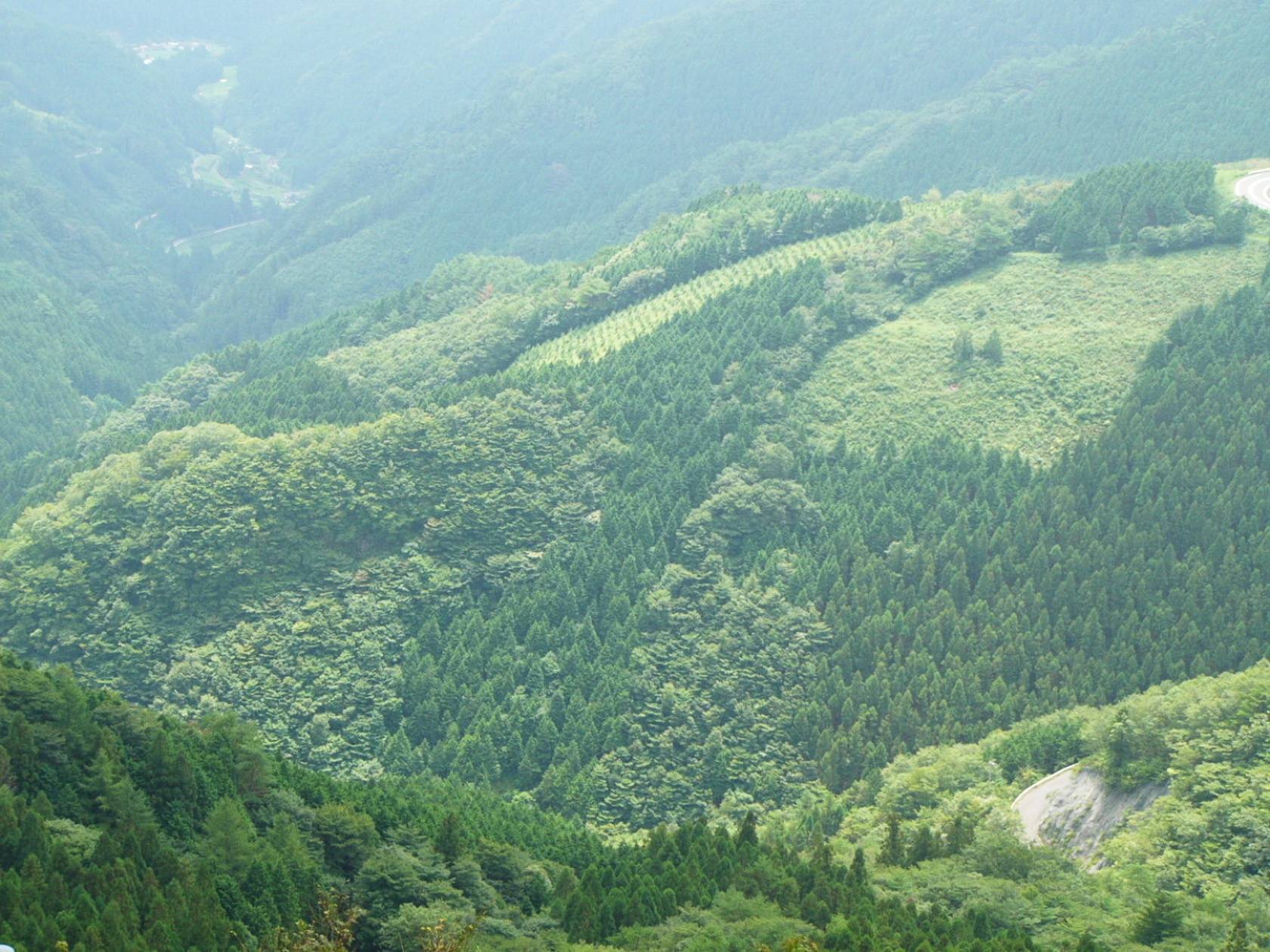 img0051.jpg