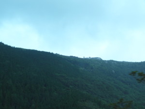 img0003.jpg
