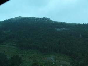 img0004.jpg