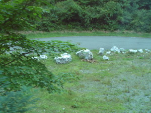 img0005.jpg