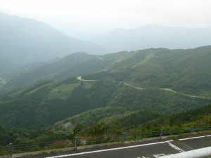 img0010.jpg