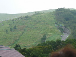img0013.jpg
